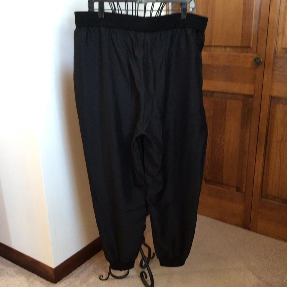 Eileen fisher silk joggers, Large, NWTGS - Picture 5 of 8